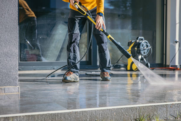 Best Roof Pressure Washing  in Johnson Lane, NV