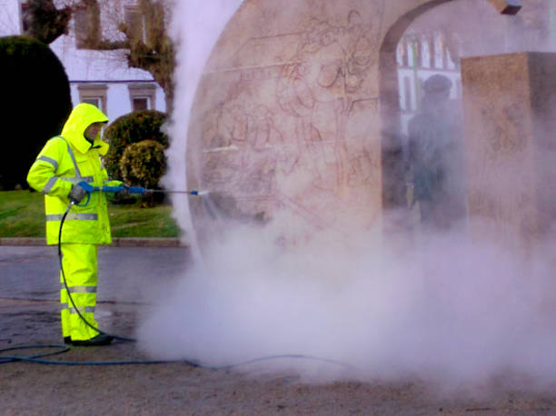 Best Local Pressure Washing Services  in Johnson Lane, NV