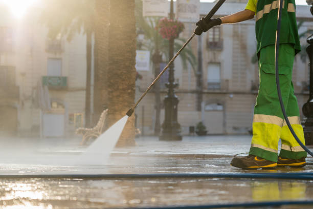 Best Roof Power Washing Services  in Johnson Lane, NV