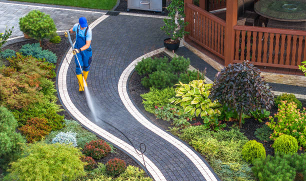 Best House Pressure Washing  in Johnson Lane, NV