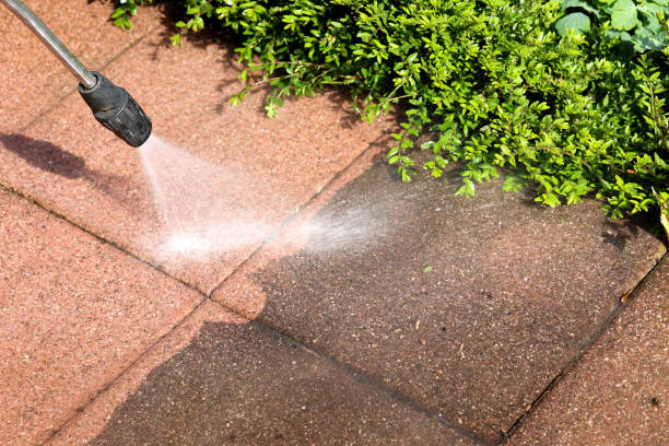 Best Affordable Pressure Washing  in Johnson Lane, NV